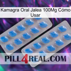 Kamagra Oral Jalea 100Mg Cómo Usar 23